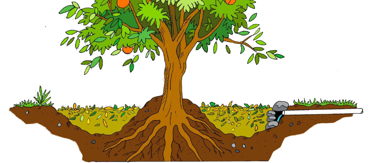 Assainissement de l'eau Toitot maison autonome toilettes seches