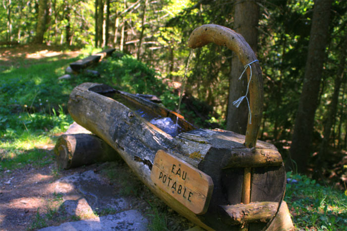 Eau pour maison autonome OFFF