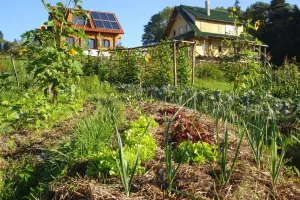 village autonome Toitot