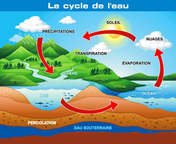 Eau pour maison autonome TOITOT
