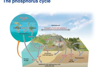 Pompage de l'eau maison autonome OFFF
