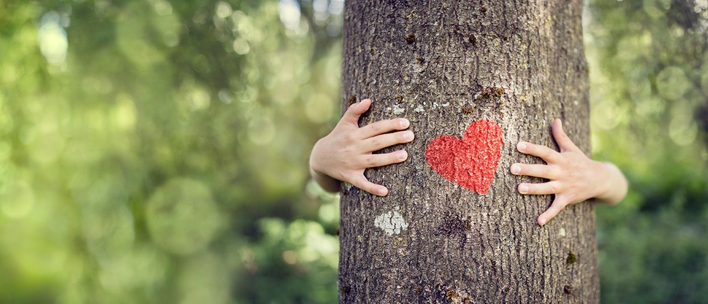 Geobiologie du vivant en harmonie avec l'habitat